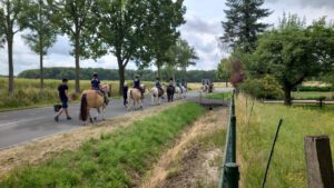 Mehr über den Artikel erfahren Abenteuerfreizeit Ponyhof Hilbeck